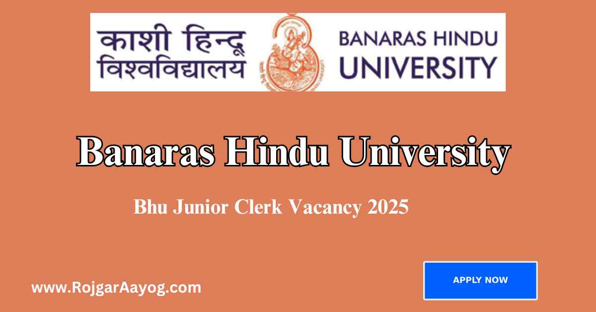 Bhu Junior Clerk Vacancy 2025
